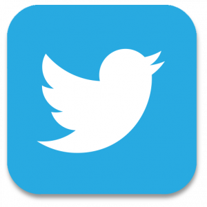 twitter-icon